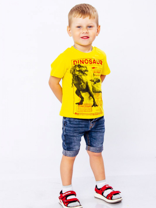 Футболка Носи своє модель 6021-001-33-1-4-zhovtij Фото