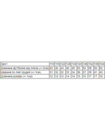 Футболка Носи своє модель 6021-1-blakitnij Фото