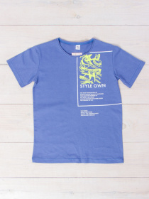 Футболка Носи своє модель 6021-4-blakitnij-style Фото