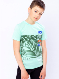 Футболка Носи своє модель 6021-4-m-qta Фото