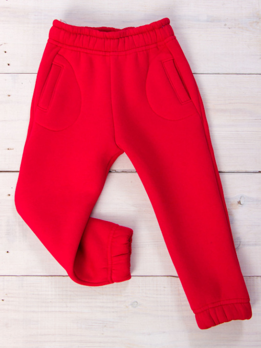 Джоггеры Носи своє модель 6060-025-chervonij Фото