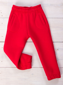 Джогери Носи своє модель 6060-025-chervonij Фото