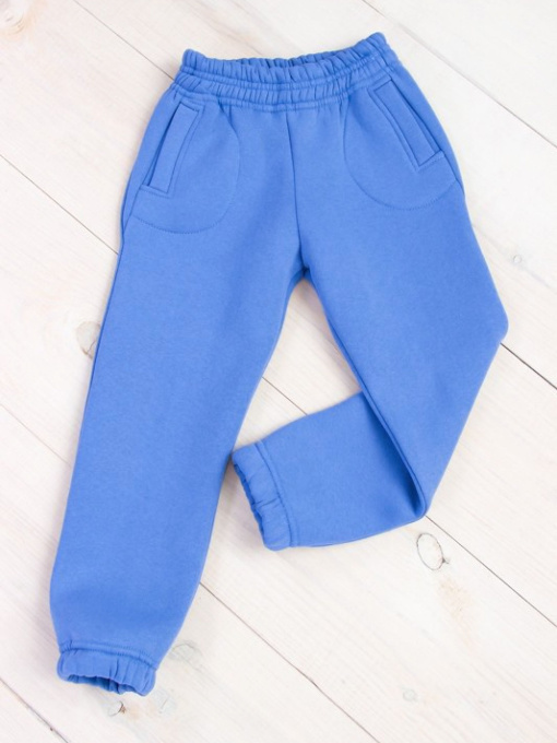 Джоггеры Носи своє модель 6060-025-vasilxkovij Фото