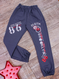 Штаны спортивные Носи своє модель 6060-057-33-graft Штаны спортивные Носи своє модель 6060-057-33-graft Фото