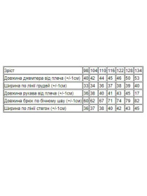 Спортивний костюм Носи своє модель 6063-023-33-3-svtlo-zhovtij Фото