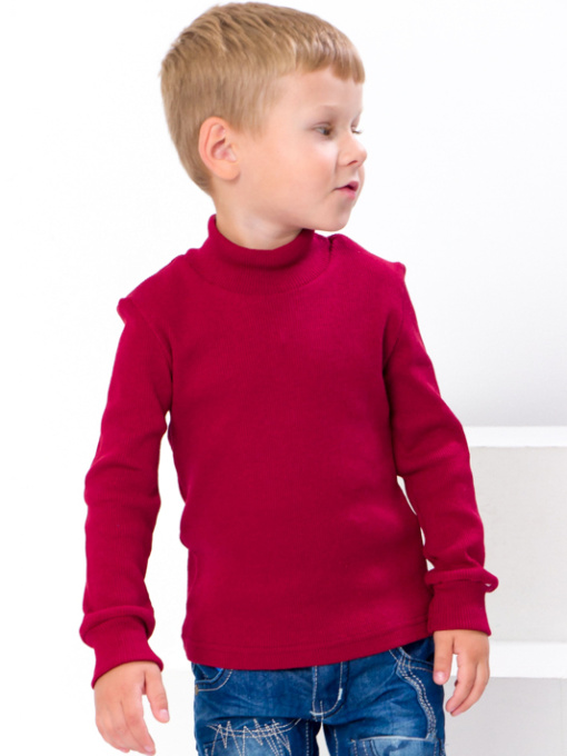 Водолазка Носи своє модель 6068-019-bordovij Фото