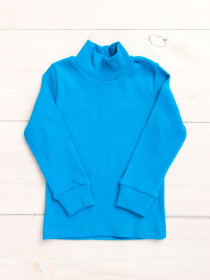 Водолазка Носи своє модель 6068-019-bryuzovij Фото