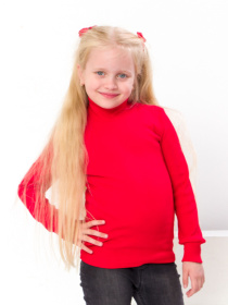 Водолазка Носи своє модель 6068-019-chervonij Фото