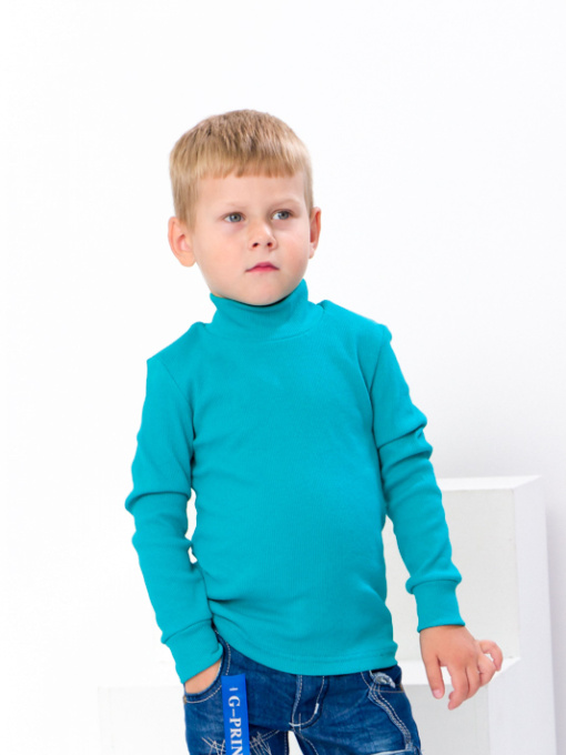 Водолазка Носи своє модель 6068-019-morsxka-hvilq Фото