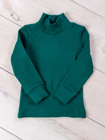 Водолазка Носи своє модель 6068-019-temno-zelenij Фото