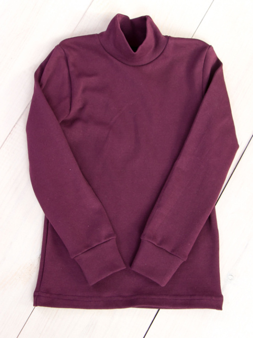 Водолазка Носи своє модель 6068-040-baklazhan Фото