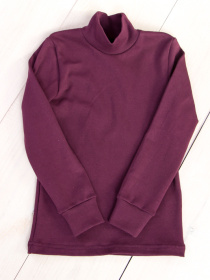 Водолазка Носи своє модель 6068-040-baklazhan Фото