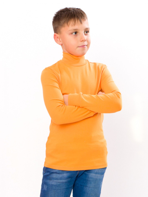 Водолазка Носи своє модель 6068-040-burshtin Фото