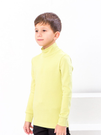 Водолазка Носи своє модель 6068-040-citrus Фото