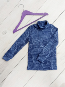 Водолазка Носи своє модель 6068-063V-kishen-dzhins Фото