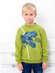 Свитшот Носи своє модель 6069-023-33-4-olivka Фото