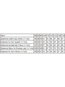 Пижама Носи своє модель 6076-002-33-5-kicq-bryuza Фото