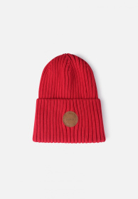 Шапка REIMA модель 528681_3880 Фото