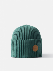 Шапка REIMA модель 528681_8980 Фото