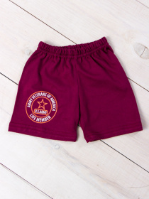 Повсякденні шорти Носи своє модель 6091-001-33-bordovij-zrka Фото