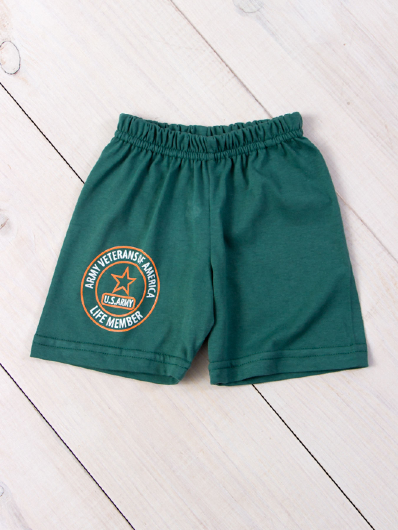 Повседневные шорты Носи своє модель 6091-001-33-hvoq-zrka Повседневные шорты Носи своє модель 6091-001-33-hvoq-zrka Фото