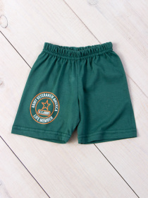 Повседневные шорты Носи своє модель 6091-001-33-hvoq-zrka Повседневные шорты Носи своє модель 6091-001-33-hvoq-zrka Фото