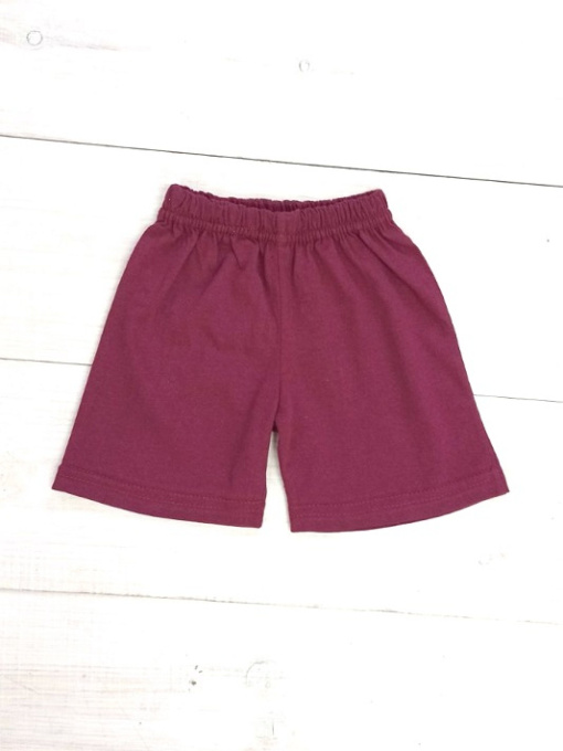 Повседневные шорты Носи своє модель 6091-001-baklazhan Фото