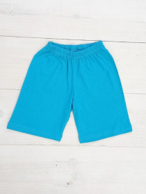 Повседневные шорты Носи своє модель 6091-001-bryuzovij Повседневные шорты Носи своє модель 6091-001-bryuzovij Фото