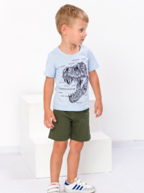 Повседневные шорты Носи своє модель 6091-001-hak Фото