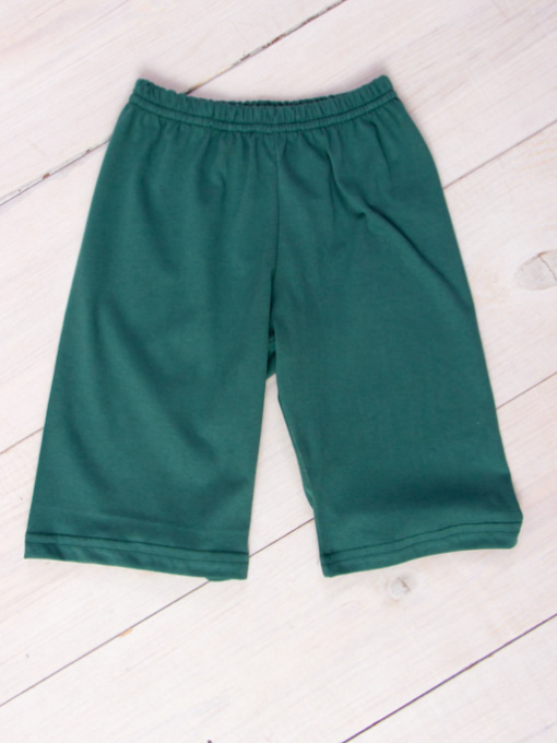 Шорти Носи своє модель 6091-001-hvojnij Фото