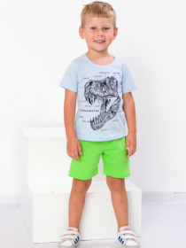 Повседневные шорты Носи своє модель 6091-001-salatovij Повседневные шорты Носи своє модель 6091-001-salatovij Фото