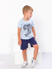 Шорты Носи своє модель 6091-001-sinj Фото