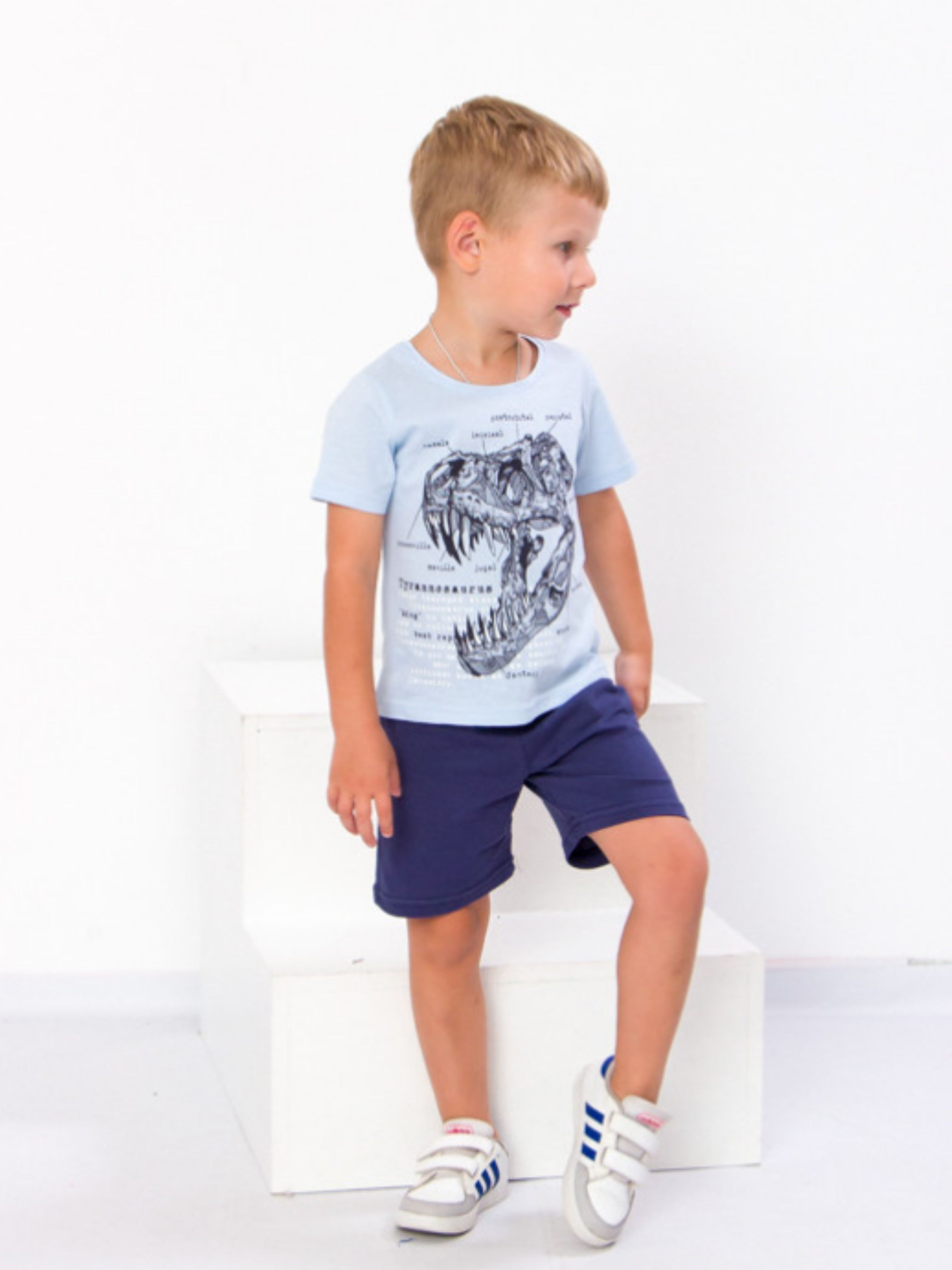 Повседневные шорты Носи своє модель 6091-001-sinj Повседневные шорты Носи своє модель 6091-001-sinj Фото