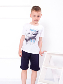 Повседневные шорты Носи своє модель 6091-015-chornilxno-sinj Фото