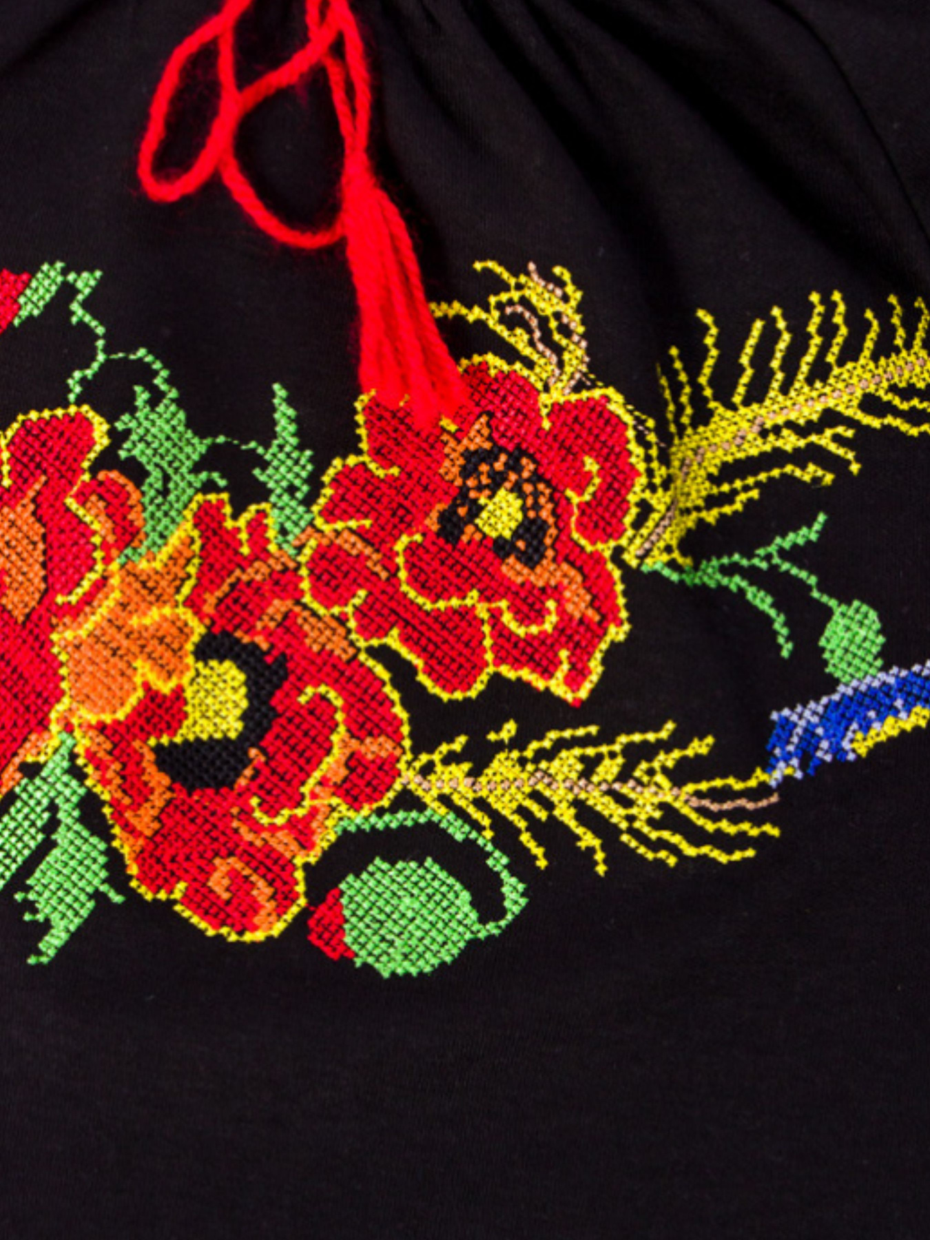 Вишита сорочка Носи своє модель 6111-015-22-maki Фото