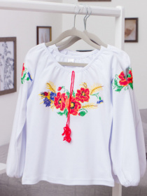 Вишита сорочка Носи своє модель 6112-038-22-maki Фото