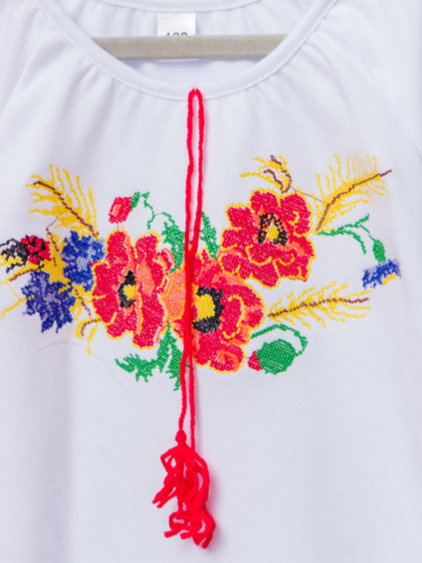 Вышитая рубашка Носи своє модель 6112-038-22-maki Фото