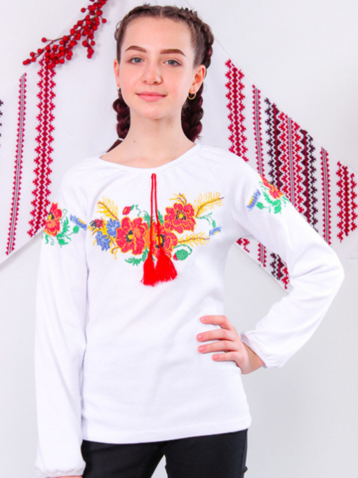 Вишита сорочка Носи своє модель 6112-038-22-maki Фото