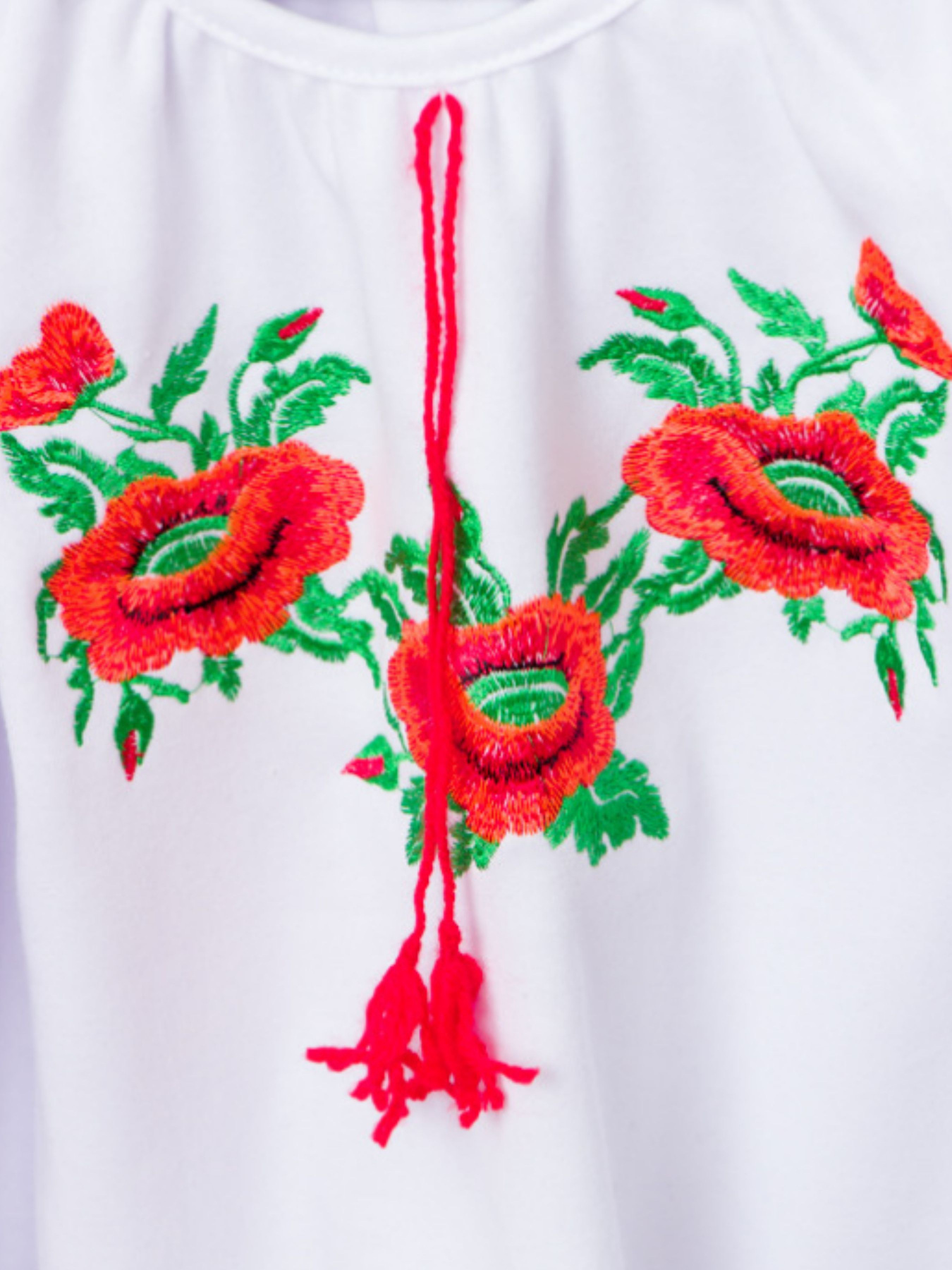 Вишита сорочка Носи своє модель 6112-038-22-maki-gladx Фото