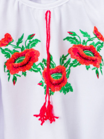 Вишита сорочка Носи своє модель 6112-038-22-maki-gladx Фото