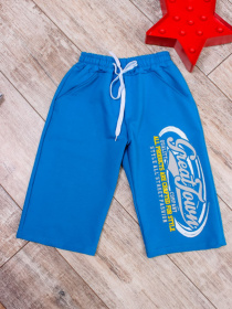 Шорти Носи своє модель 6136-057-33-temna-bryuza Фото