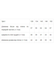 Сорочка повсякденна Носи своє модель 6137-081-chornilxno-sinj Фото