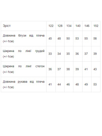 Блуза Носи своє модель 6138-066-blij Фото