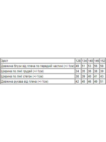 Блуза Носи своє модель 6149-081-33-blij Фото