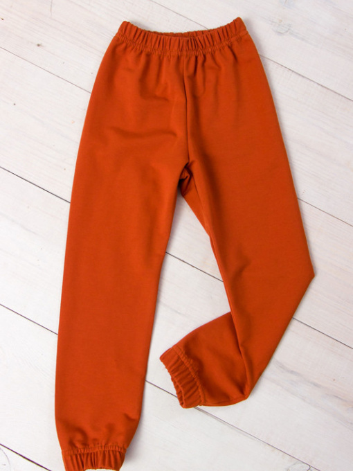 Джогери Носи своє модель 6155-057-5-kirpichnij Фото