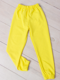 Джоггеры Носи своє модель 6155-057-5-limon Фото