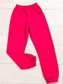 Джоггеры Носи своє модель 6155-057-5-polunicq Фото