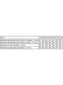 Худи Носи своє модель 6161-057-33-4-graft Фото