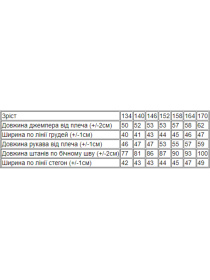 Спортивний костюм Носи своє модель 6173-025-33-chornij Фото