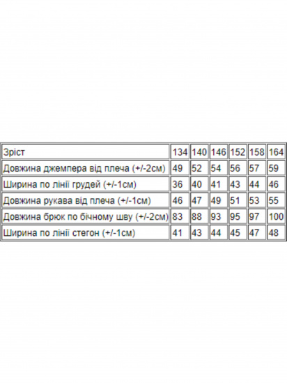 Спортивний костюм Носи своє модель 6173-057-33-graft — фото 3 - INTERTOP